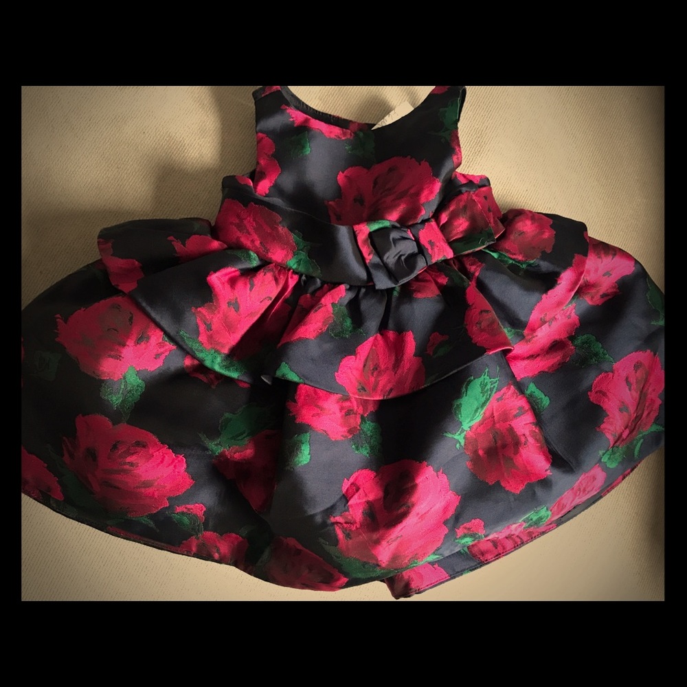 Janie and Jack NWT dress